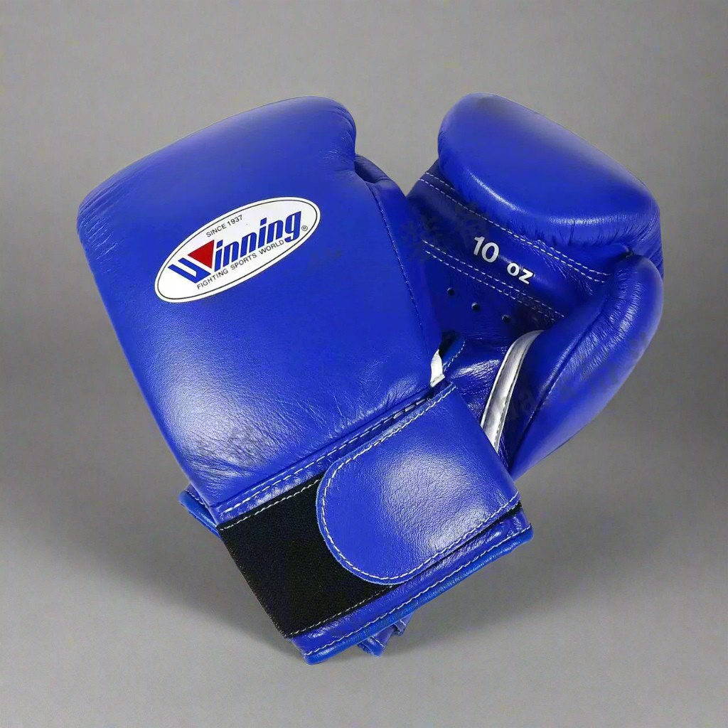 Winning Boxing Gloves
