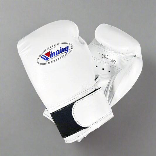 Winning Boxing Gloves