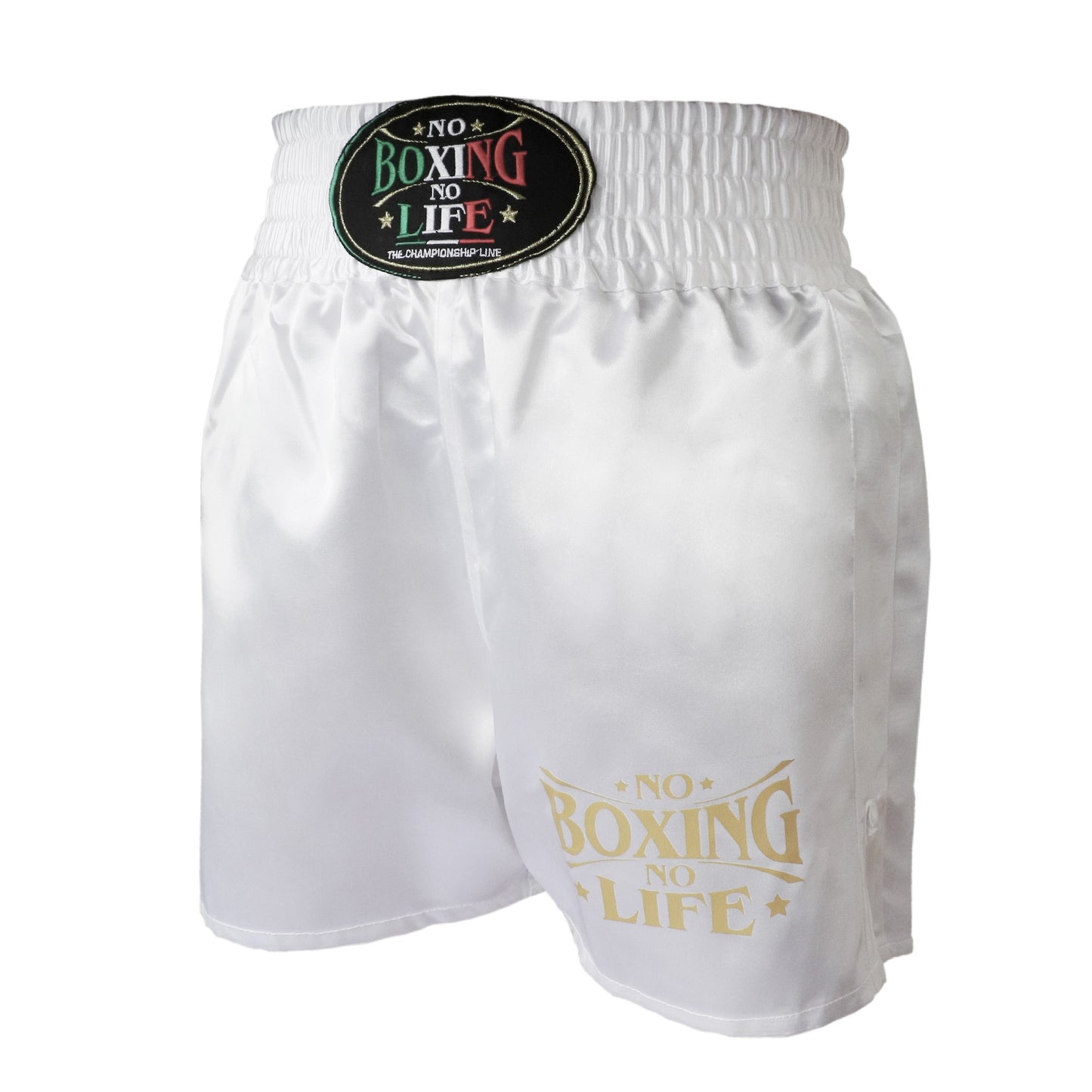 NoBoxingNoLife Shorts