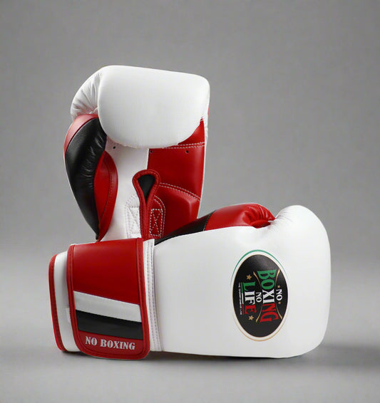 No Boxing No Life Boxing Gloves