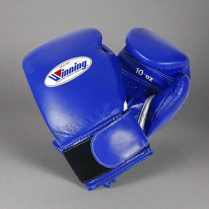 Winning Boxing Gloves