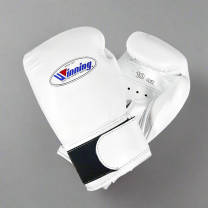 Winning Boxing Gloves