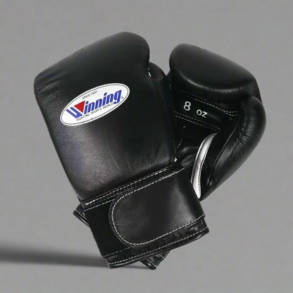 Winning Boxing Gloves