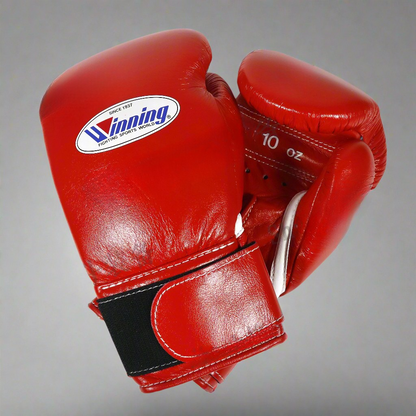 Winning Boxing Gloves