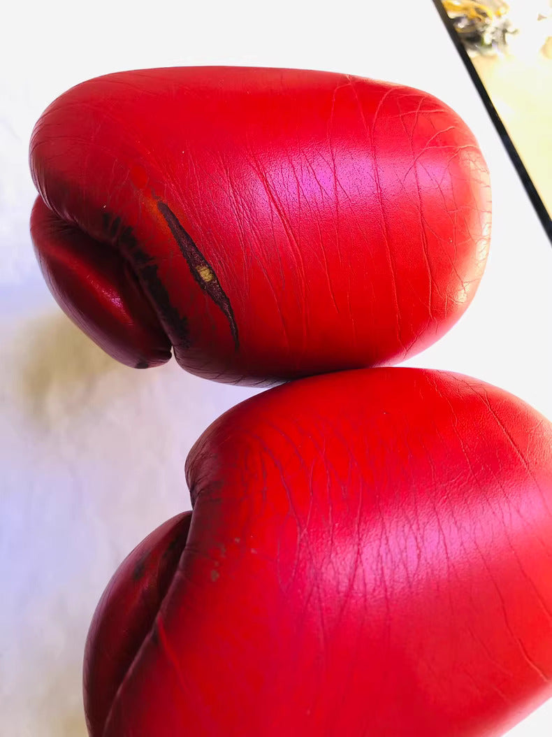 Winning Gloves (Refurbished)