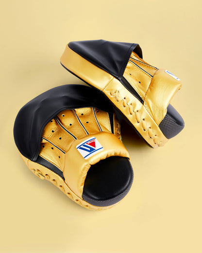 WINNING BOXER TARGET ARC SHIELD TARGET CLOSED GAUNTLET