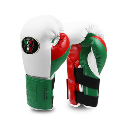 No Boxing No Life Boxing Gloves