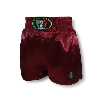 NoBoxingNoLife  Shorts