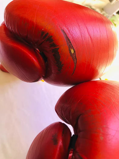 Winning Gloves (Refurbished)