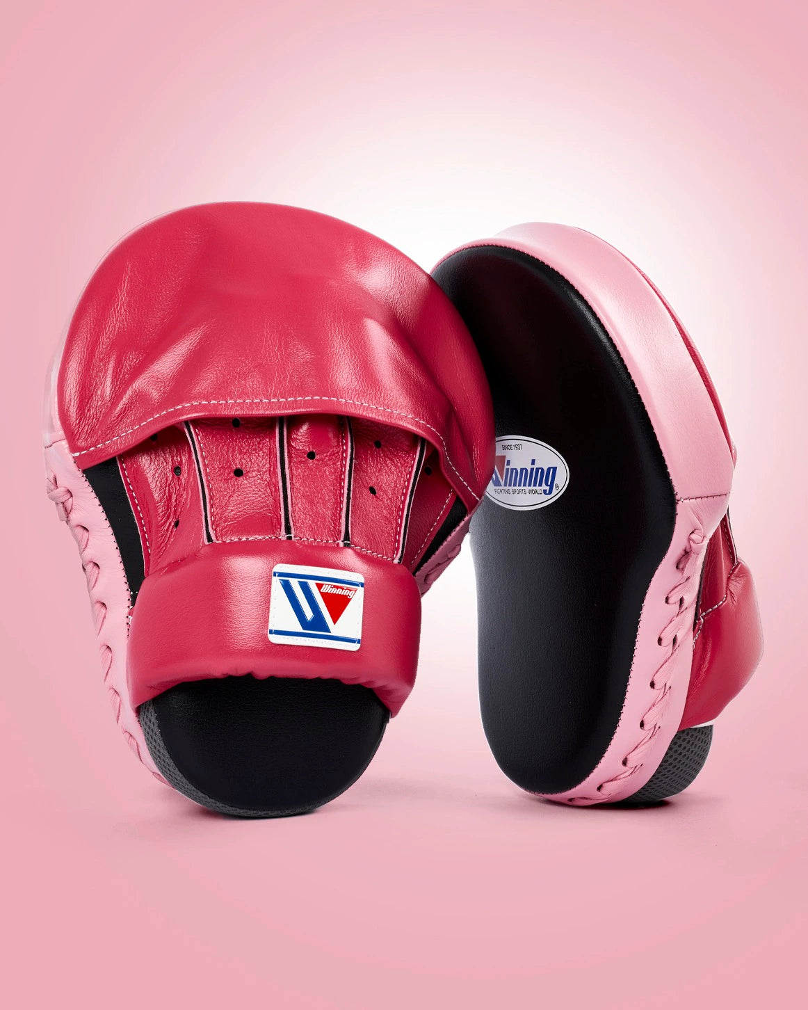 WINNING BOXER TARGET ARC SHIELD TARGET CLOSED GAUNTLET