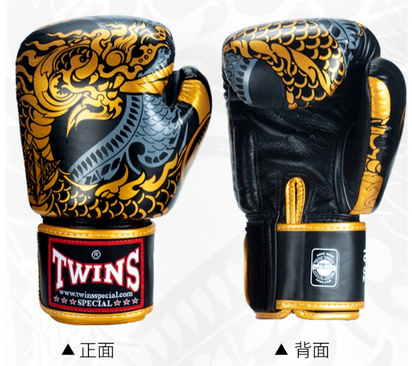 Twin Boxing Gloves