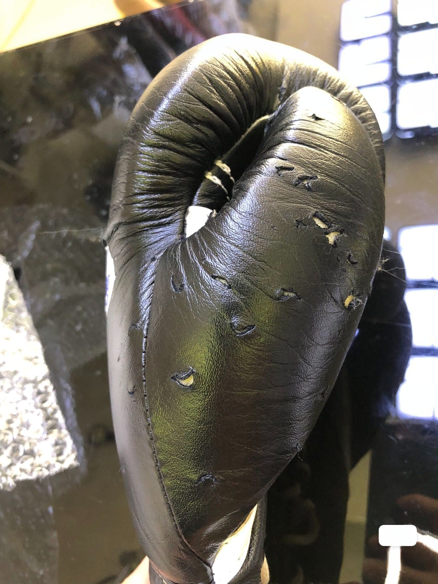 Winning Gloves (Refurbished)